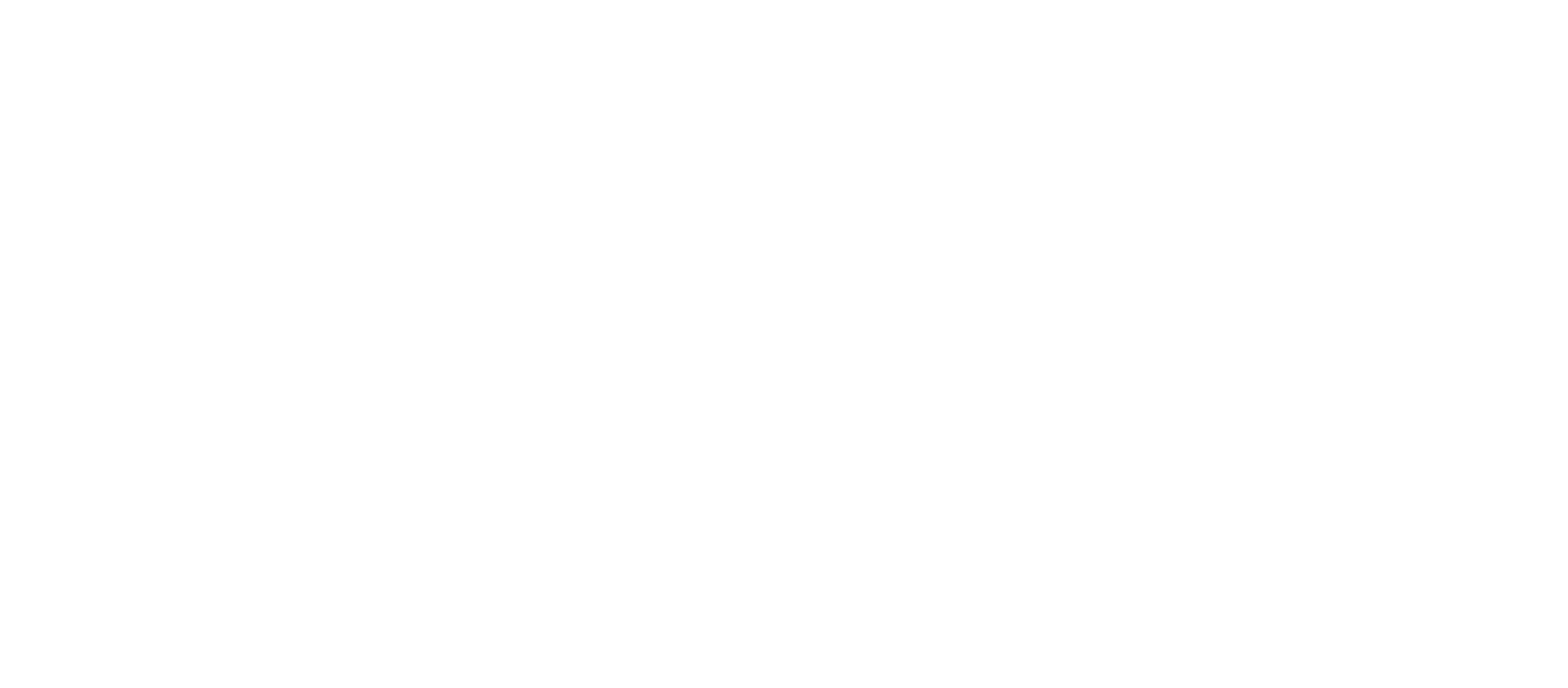 mikeottoro_logo_white_2025